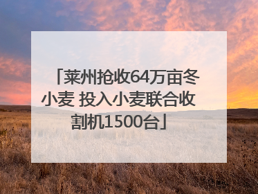 莱州抢收64万亩冬小麦 投入小麦联合收割机1500台