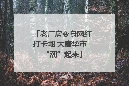 老厂房变身网红打卡地 大唐华市“潮”起来