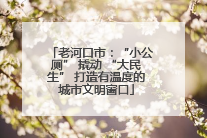 老河口市：“小公厕” 撬动 “大民生” 打造有温度的城市文明窗口