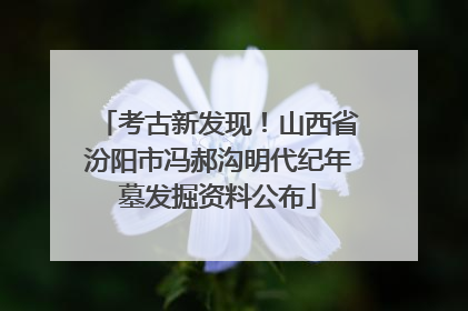 考古新发现！山西省汾阳市冯郝沟明代纪年墓发掘资料公布