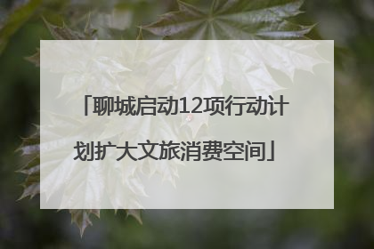 聊城启动12项行动计划扩大文旅消费空间