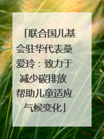 联合国儿基会驻华代表桑爱玲：致力于减少碳排放 帮助儿童适应气候变化