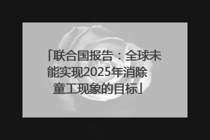 联合国报告：全球未能实现2025年消除童工现象的目标