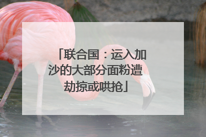 联合国：运入加沙的大部分面粉遭劫掠或哄抢