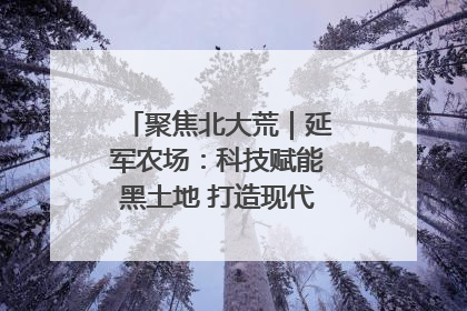 聚焦北大荒｜延军农场：科技赋能黑土地 打造现代农业“智慧芯”