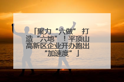 聚力“六做” 打造“六地”！平顶山高新区企业开办跑出“加速度”