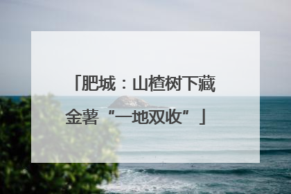肥城：山楂树下藏金薯“一地双收”