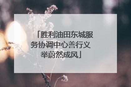 胜利油田东城服务协调中心善行义举蔚然成风