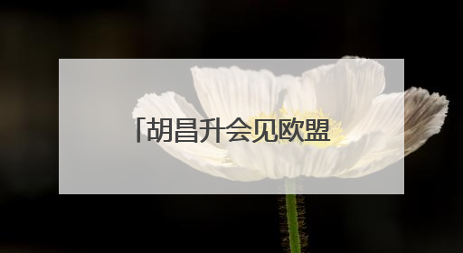 胡昌升会见欧盟国家驻华使节团