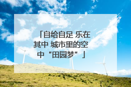 自给自足 乐在其中 城市里的空中“田园梦”