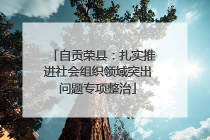 自贡荣县：扎实推进社会组织领域突出问题专项整治