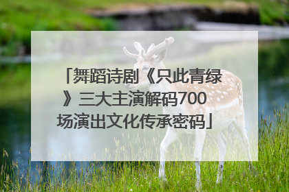 舞蹈诗剧《只此青绿》三大主演解码700场演出文化传承密码
