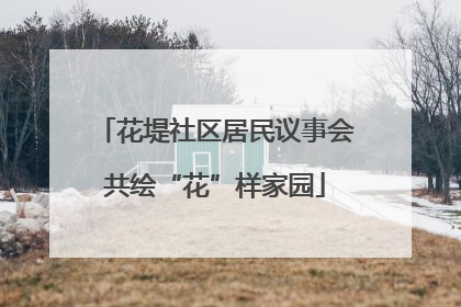 花堤社区居民议事会共绘“花”样家园
