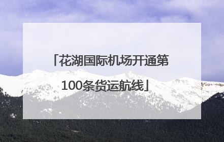 花湖国际机场开通第100条货运航线