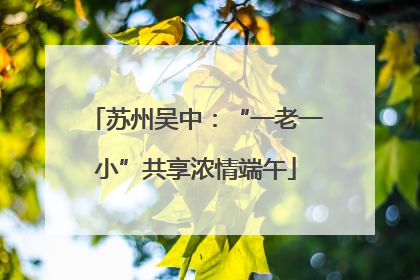 苏州吴中：“一老一小”共享浓情端午