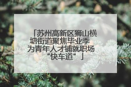 苏州高新区狮山横塘街道聚焦毕业季 为青年人才铺就职场“快车道”