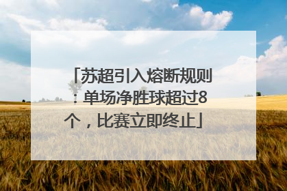 苏超引入熔断规则：单场净胜球超过8个，比赛立即终止