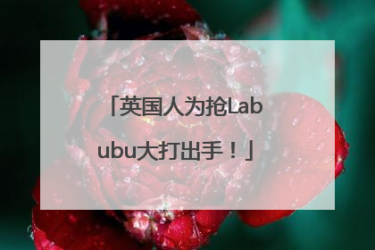 英国人为抢Labubu大打出手！
