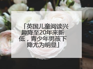 英国儿童阅读兴趣降至20年来新低，青少年男孩下降尤为明显
