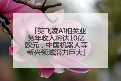 英飞凌AI相关业务年收入将达10亿欧元，中国机器人等新兴领域潜力巨大