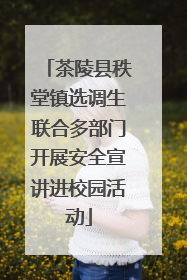 茶陵县秩堂镇选调生联合多部门开展安全宣讲进校园活动