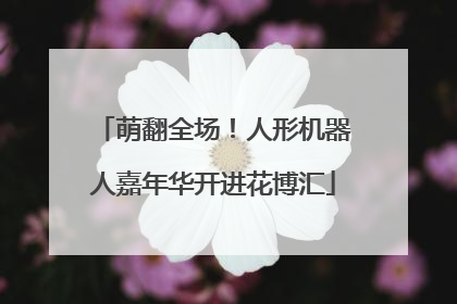 萌翻全场！人形机器人嘉年华开进花博汇