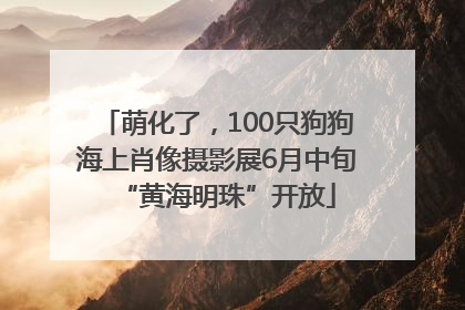 萌化了，100只狗狗海上肖像摄影展6月中旬“黄海明珠”开放