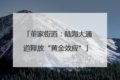 董家街道：陆海大通道释放“黄金效应”