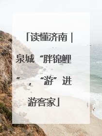 读懂济南｜泉城“胖锦鲤”，“游”进游客家