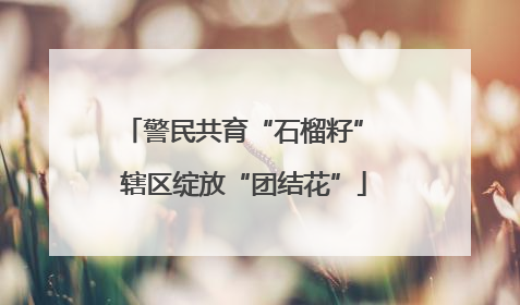 警民共育“石榴籽” 辖区绽放“团结花”