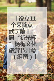 设立11个采摘点 武宁第十一届“新光杯”杨梅文化旅游节开幕（组图）
