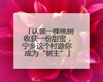 认领一棵桃树收获一份甜蜜，宁乡这个村邀你成为“树主”