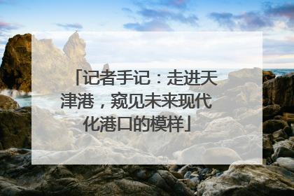 记者手记：走进天津港，窥见未来现代化港口的模样