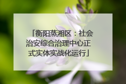 衡阳蒸湘区：社会治安综合治理中心正式实体实战化运行