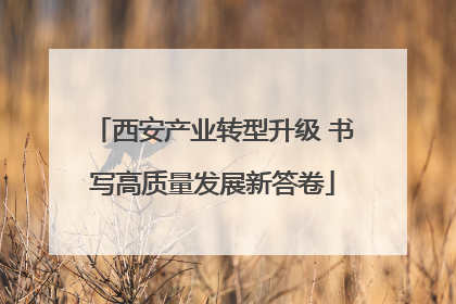 西安产业转型升级 书写高质量发展新答卷