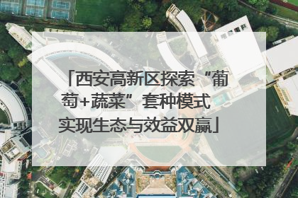 西安高新区探索“葡萄+蔬菜”套种模式 实现生态与效益双赢