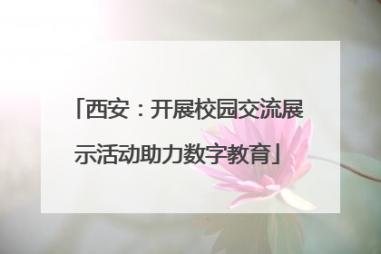 西安：开展校园交流展示活动助力数字教育
