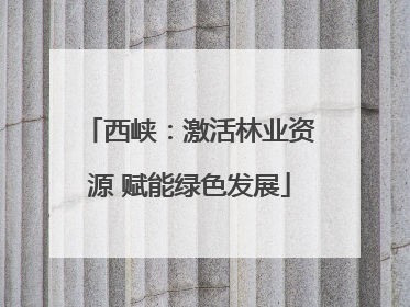 西峡：激活林业资源 赋能绿色发展