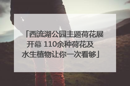 西流湖公园主题荷花展开幕 110余种荷花及水生植物让你一次看够