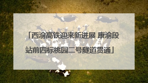 西渝高铁迎来新进展 康渝段站前四标桃园二号隧道贯通