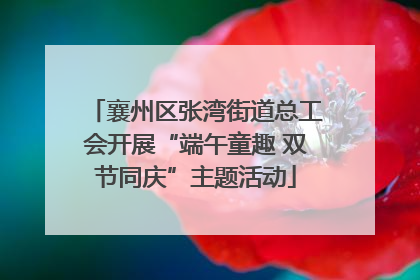 襄州区张湾街道总工会开展“端午童趣 双节同庆”主题活动