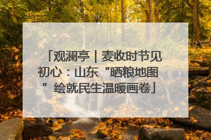 观澜亭｜麦收时节见初心：山东“晒粮地图”绘就民生温暖画卷