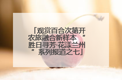 观赏百合次第开 农旅融合新样本 “胜日寻芳·花漾兰州”系列报道之七