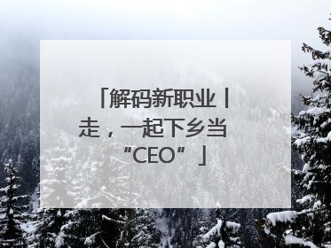 解码新职业丨走，一起下乡当“CEO”