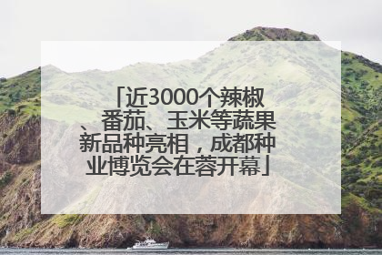 近3000个辣椒、番茄、玉米等蔬果新品种亮相，成都种业博览会在蓉开幕