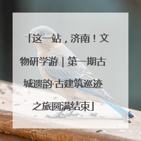 这一站，济南！文物研学游｜第一期古城遗韵·古建筑巡迹之旅圆满结束