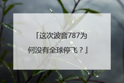 这次波音787为何没有全球停飞？