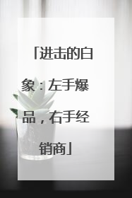 进击的白象：左手爆品，右手经销商