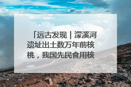 远古发现｜濛溪河遗址出土数万年前核桃，我国先民食用核桃历史大幅提前