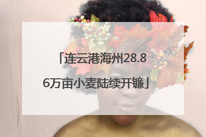 连云港海州28.86万亩小麦陆续开镰